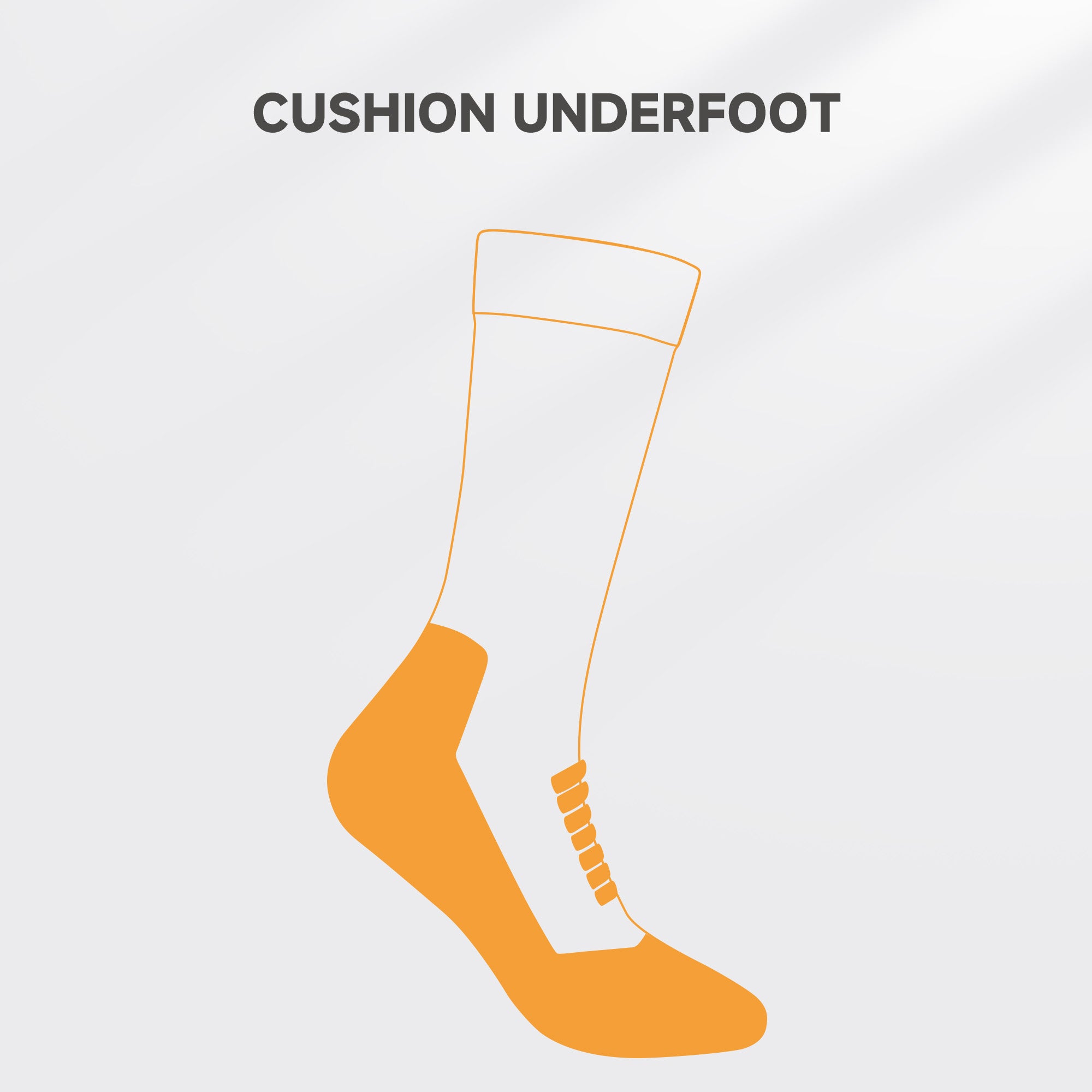 Sierra Lightweight Merino Wool Hiking Socks with Targeted Cushion (Crew, 1 Pair)